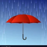 umbrella